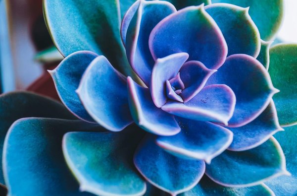 Comment choisir des accessoires en perles pour un look de plage sophistiqué?